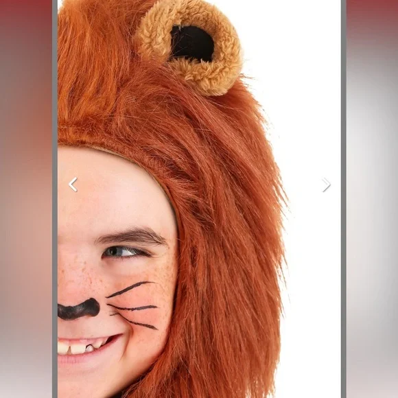 Cowardly Lion Wizard of Oz Boy Halloween Costume Realistic Mane Small 6-7 - Picture 6 of 16